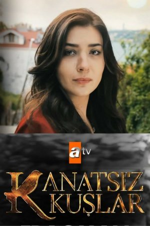 Kanatsız kuşlar 13 bölüm izle